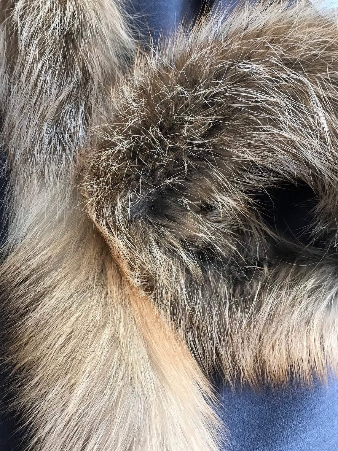 Cape cashmere Gold fox fur trim